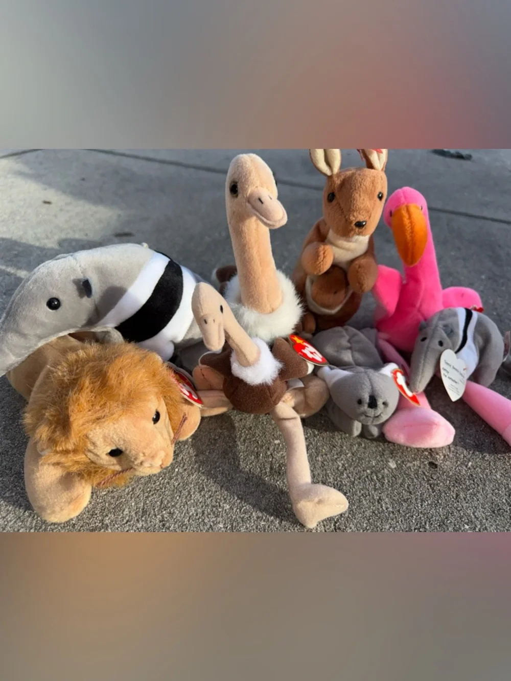 Ty Beanie Babies Bundle Lot 8 Pc w/ Tags Lion Ostrich Kangaroo Flamingo - Picture 4 of 4